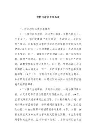 市防汛救灾工作总结