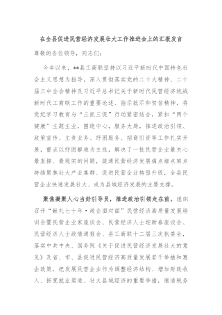 在全县促进民营经济发展壮大工作推进会上的汇报发言