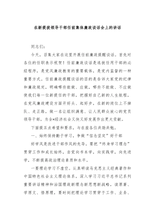 在新提拔领导干部任前集体廉政谈话会上的讲话