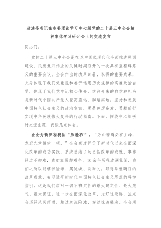 政法委书记在市委理论学习中心组党的二十届三中全会精神集体学习研讨会上的交流发言