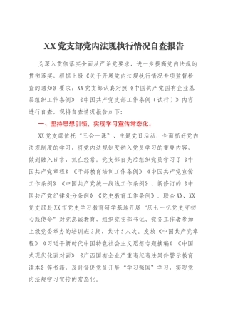 XX党支部党内法规执行情况自查报告
