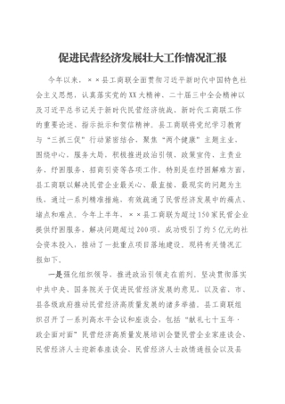 促进民营经济发展壮大工作情况汇报