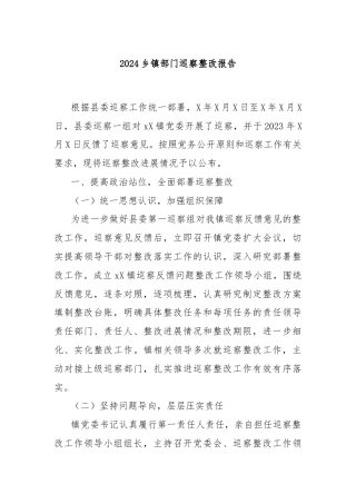 2024乡镇部门巡察整改报告