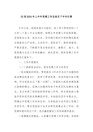 XX局2024年上半年党建工作总结及下半年打算