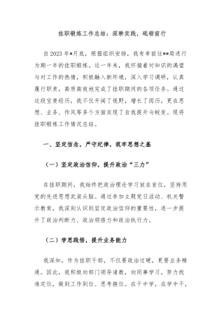 挂职锻炼工作总结：深耕实践，砥砺前行