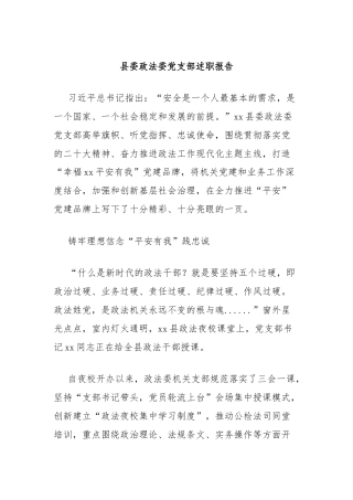 县委政法委党支部述职报告