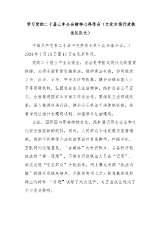 学习党的二十届三中全会精神心得体会（文化市场行政执法队队长）