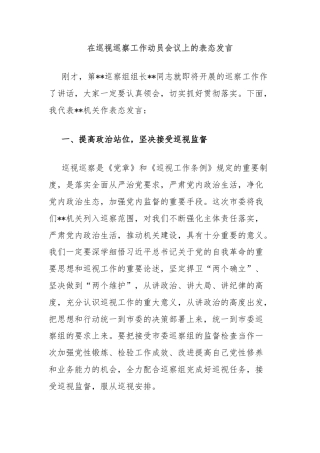 在巡视巡察工作动员会议上的表态发言