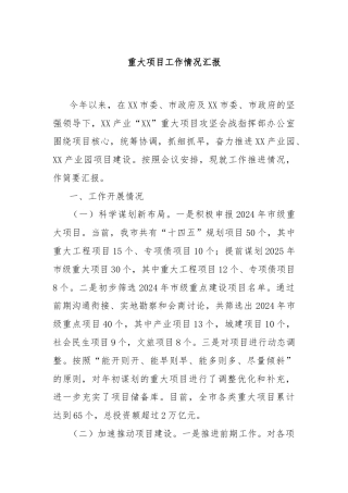 重大项目工作情况汇报