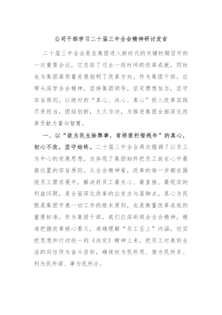 公司干部学习二十届三中全会精神研讨发言