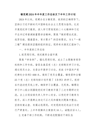 镇党建2024年半年度工作总结及下半年工作计划