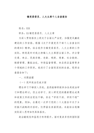 镇党委委员、人大主席个人自查报告