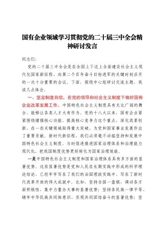 国有企业领域学习贯彻党的二十届三中全会精神研讨发言