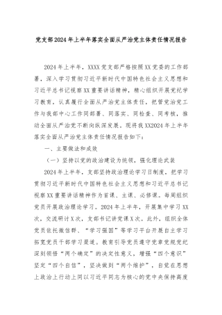 党支部2024年上半年落实全面从严治党主体责任情况报告