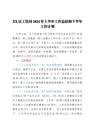 XX区工信局2024年上半年工作总结和下半年工作计划