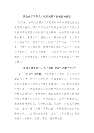 国企关于干部人才队伍建设工作情况的报告