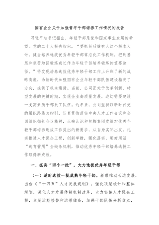 国有企业关于加强青年干部培养工作情况的报告