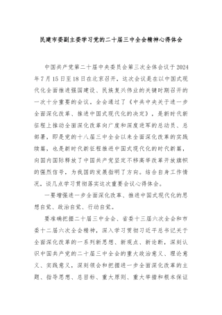 民建市委副主委学习党的二十届三中全会精神心得体会