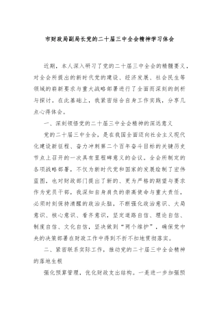 市财政局副局长党的二十届三中全会精神学习体会