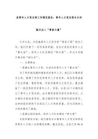 县青年人才党支部工作情况报告：青年人才党支部为乡村振兴注入“青春力量”