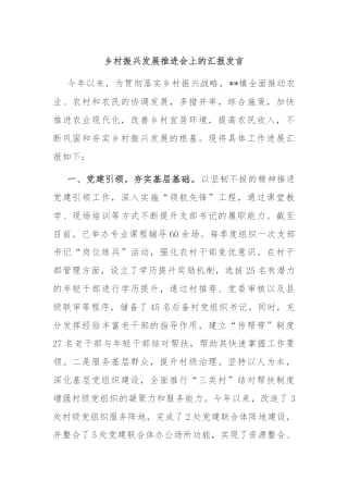 乡村振兴发展推进会上的汇报发言