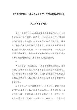 学习贯彻党的二十届三中全会精神：持续深化拓展整治形式主义为基层减负