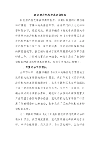 XX区政府机构改革评估报告