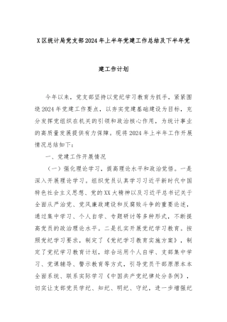 X区统计局党支部2024年上半年党建工作总结及下半年党建工作计划