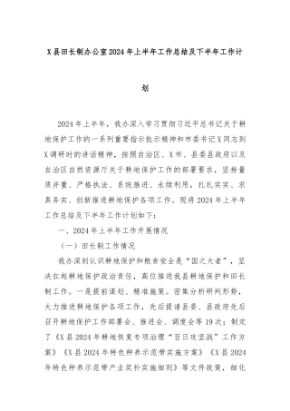 X县田长制办公室2024年上半年工作总结及下半年工作计划