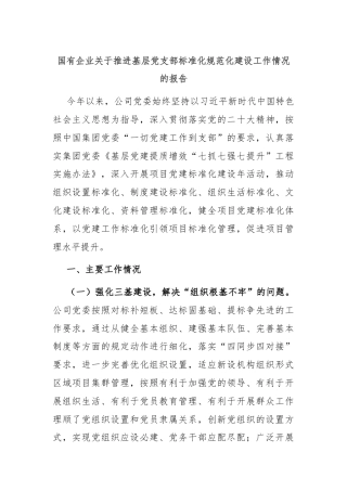 国有企业关于推进基层党支部标准化规范化建设工作情况的报告