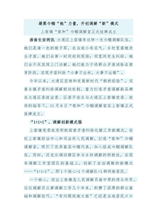 凝聚巾帼“她”力量，开创调解“新”模式