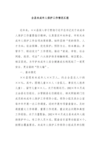 全县未成年人保护工作情况汇报