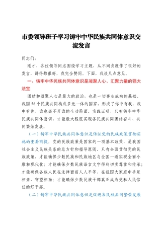 市委领导班子学习铸牢中华民族共同体意识交流发言
