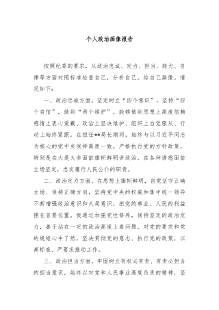 个人政治画像报告