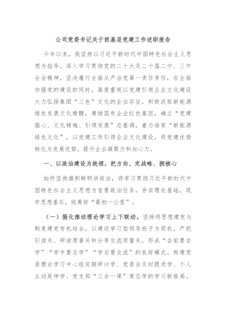 公司党委书记关于抓基层党建工作述职报告