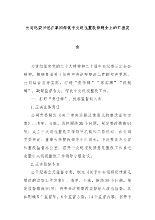 公司纪委书记在集团深化中央巡视整改推进会上的汇报发言