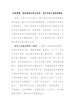 区委常委、组织部部长研讨发言：优化年轻干部培养路径