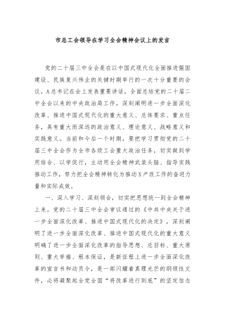 市总工会领导在学习全会精神会议上的发言