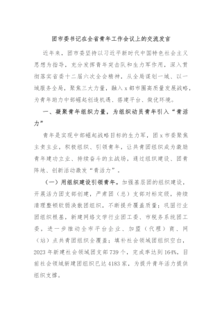 团市委书记在全省青年工作会议上的交流发言