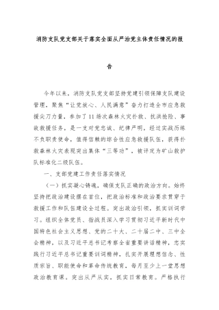 消防支队党支部关于落实全面从严治党主体责任情况的报告