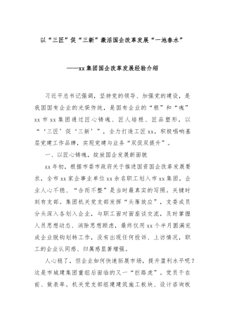 以“三匠”促“三新”激活国企改革发展“一池春水”——xx集团国企改革发展经验介绍