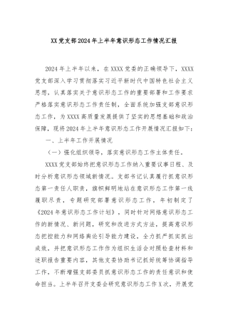 XX党支部2024年上半年意识形态工作情况汇报