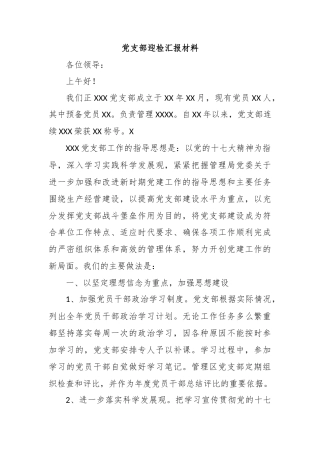 党支部迎检汇报材料