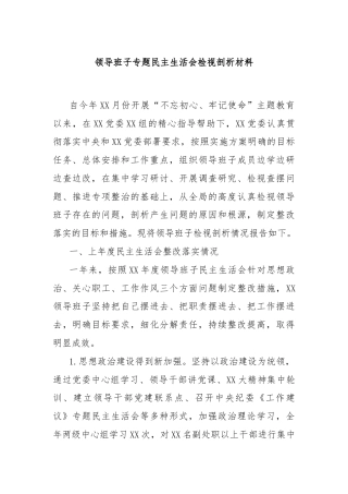 领导班子专题民主生活会检视剖析材料