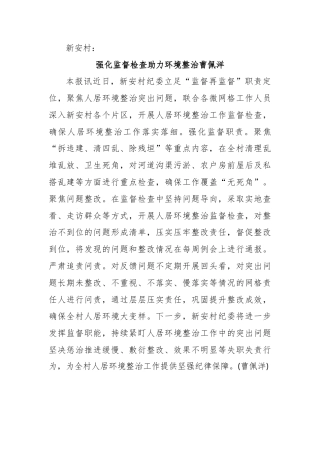 强化监督检查助力环境整治曹佩洋