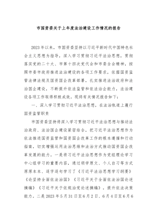 市国资委关于上年度法治建设工作情况的报告