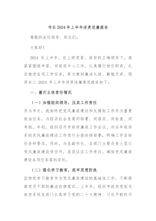 市长2024年上半年述责述廉报告