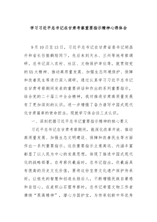 学习习总书记在甘肃考察重要指示精神心得体会