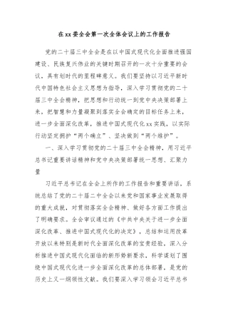 在xx委全会第一次全体会议上的工作报告
