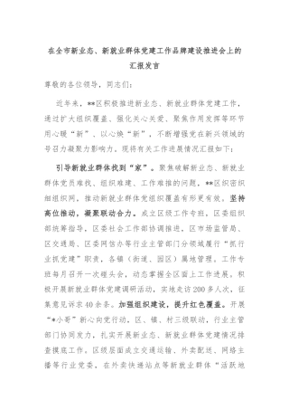 在全市新业态、新就业群体党建工作品牌建设推进会上的汇报发言